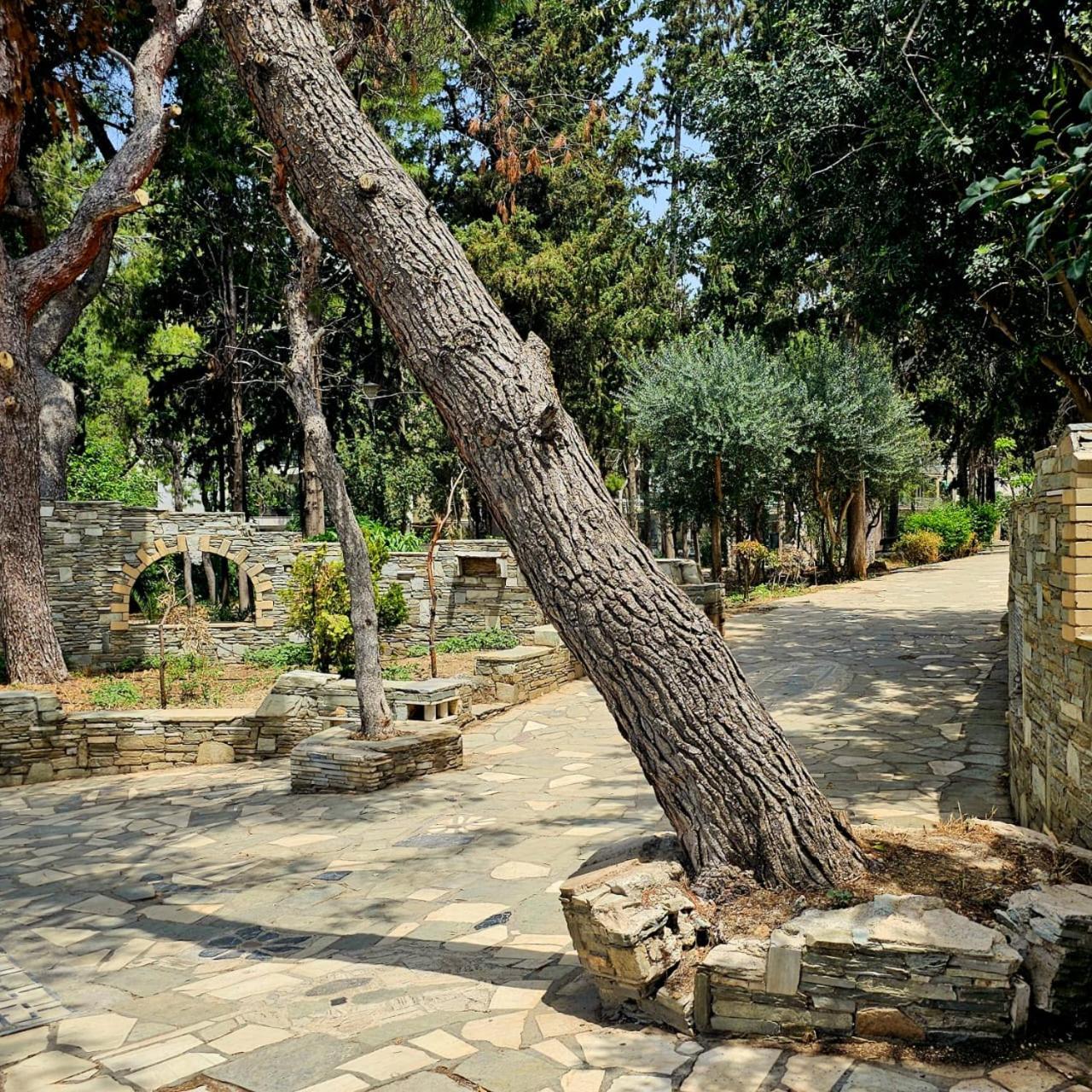 Diocharous Garden Apartment Αθήνα Εξωτερικό φωτογραφία